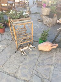 High angle view of food on table