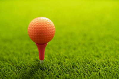 Golf ball on green grass with copy space ,top view