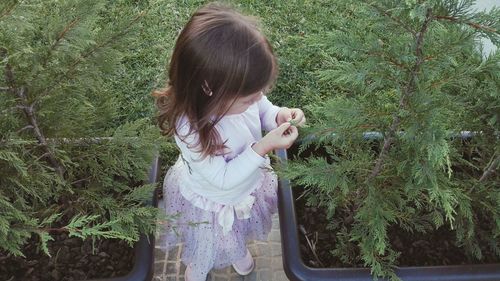 High angle view of girl standing by plants