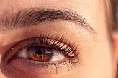 Cropped portrait of woman eye