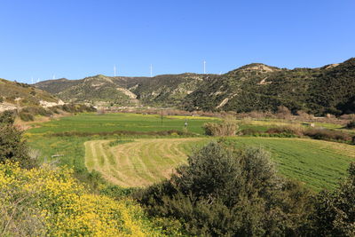 landscape