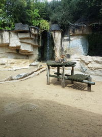 Empty bench in park