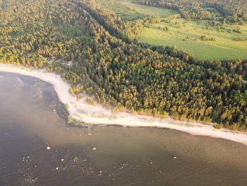 High angle view of river flowing amidst trees