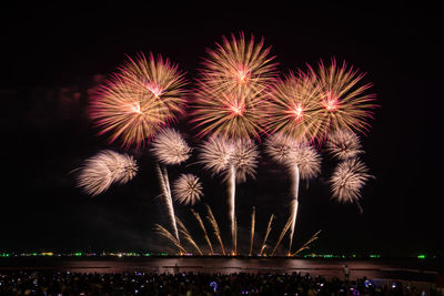 Low angle view of firework display at night