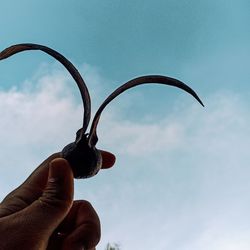 Low angle view of hand holding leaf against sky