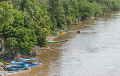 Boats moored in river against trees