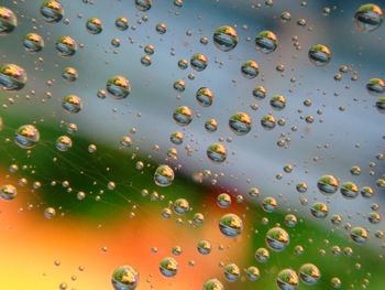 Full frame shot of water drops on leaf