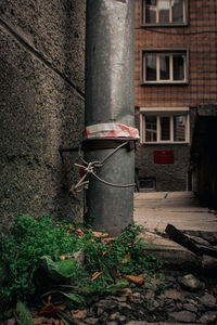 Close-up of metal pipe against building