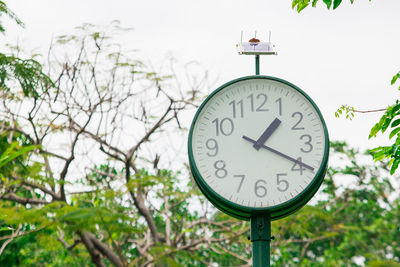 Low angle view of clock on tree