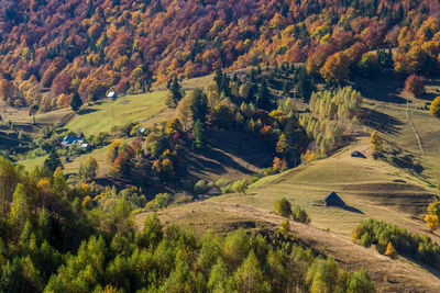 Scenic view of landscape during autumn