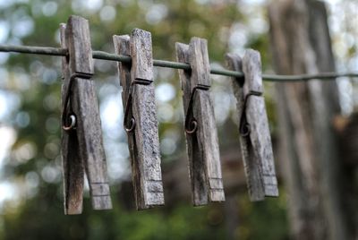 Close-up of wooden clothespins