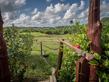 Scenic view of agricultural field against sky