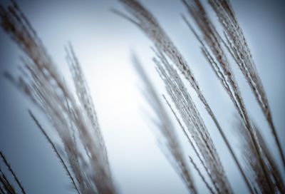 Low angle view of snow against clear sky