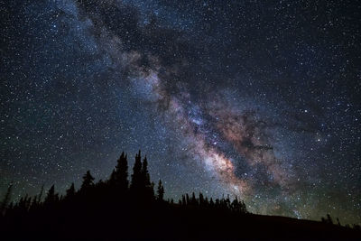 Low angle view of trees against star field