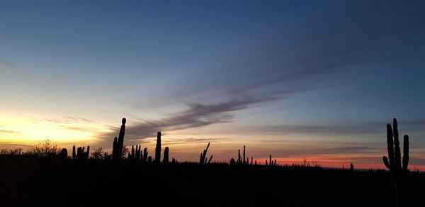 Scenic view of silhouette field against sky during sunset