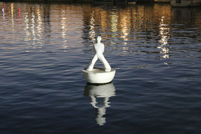 Swan swimming in lake