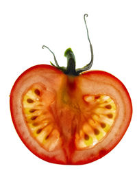 Directly above shot of apple against white background