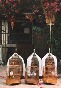 Clothes hanging in basket for sale at market stall
