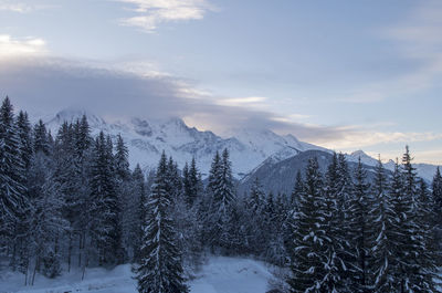 Trees on snow covered landscape against sky