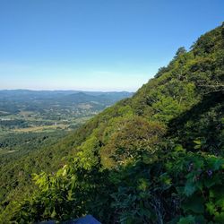 Scenic view of landscape against clear sky