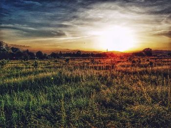Scenic view of field against sky during sunset