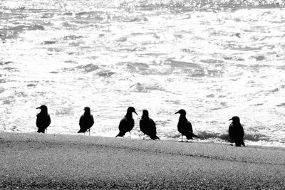 Group of silhouette people on beach
