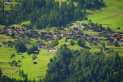 High angle view of trees and houses on field