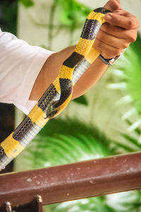 Close-up of hand holding umbrella