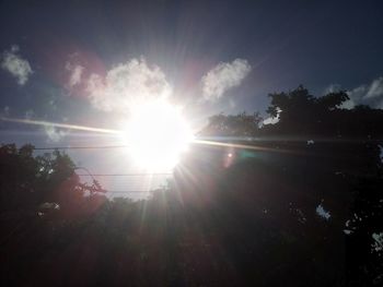 Low angle view of sun shining through trees