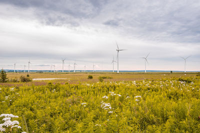 Wind turbines on field against sky