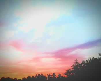 Silhouette trees against sky during sunset