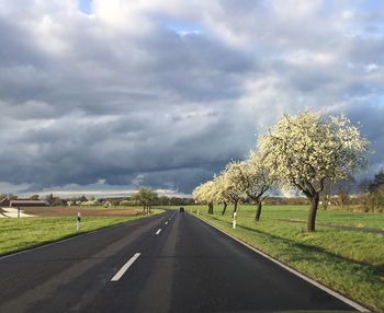 Road by trees against sky