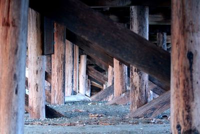 Close-up of wood