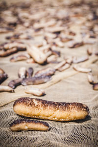 Close-up of dead sea cucumbers on netting