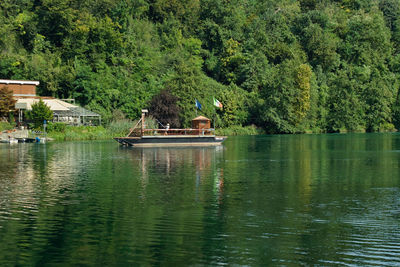 View of a bird in lake