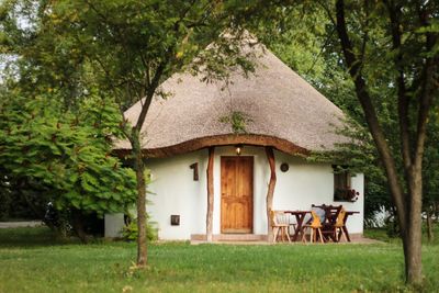 House amidst trees and plants on field