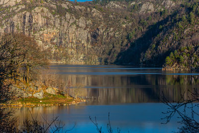 Scenic view of lake in forest