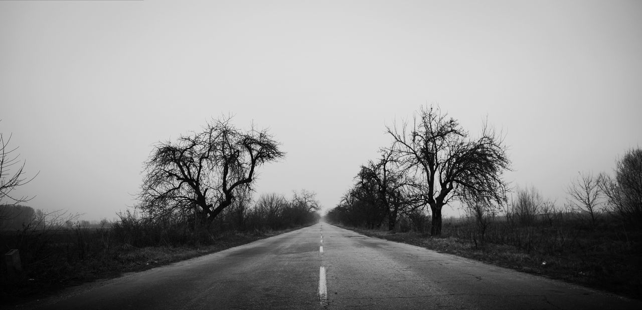 ROAD AMIDST TREES AGAINST SKY