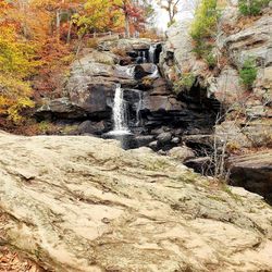 Scenic view of stream flowing through rocks in forest