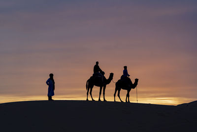 Silhouette people riding horses against sky during sunset