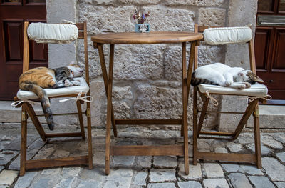 Cats sleeping on chair at outdoors cafe