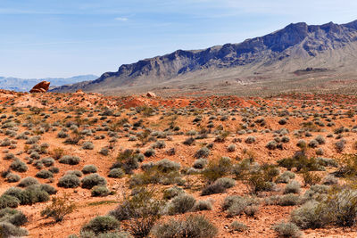 Scenic view of desert against sky