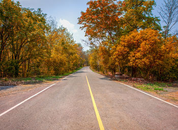 Road amidst trees during autumn