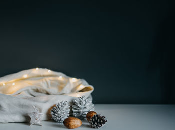 Close-up of seashell on table