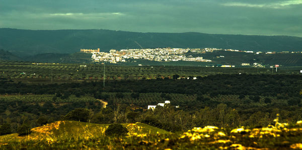 Scenic view of green landscape on sunny day