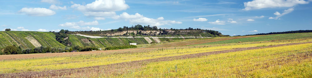 Panoramic view of agricultural field against sky