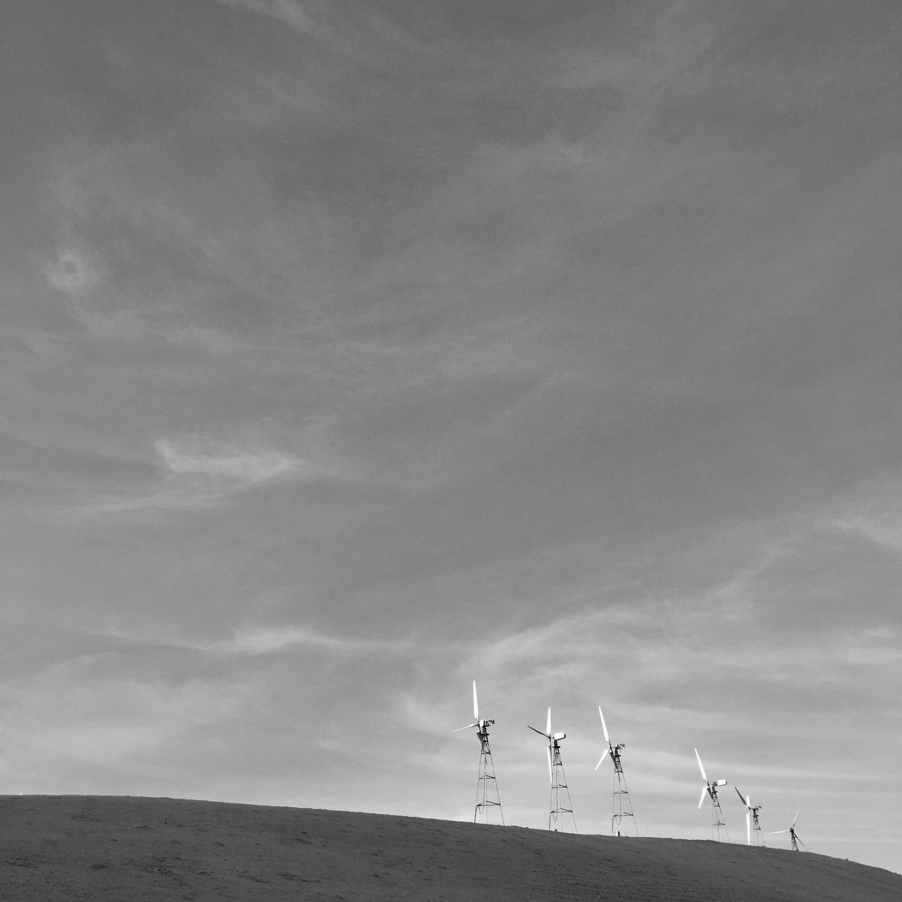 sky, animal themes, bird, sand, beach, leisure activity, flying, nature, tranquility, animals in the wild, cloud - sky, full length, low angle view, tranquil scene, lifestyles, scenics, wildlife, men