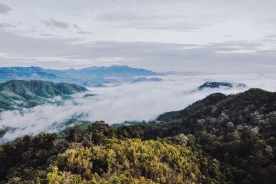 Scenic view of landscape covered with fog against sky