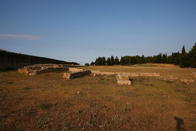 Scenic view of field against clear sky