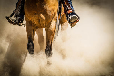 View of horse riding